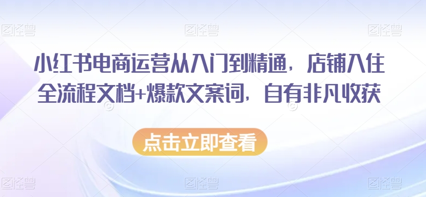 小红书电商运营从入门到精通，店铺入住全流程文档+爆款文案词，自有非凡收获-第一资源网