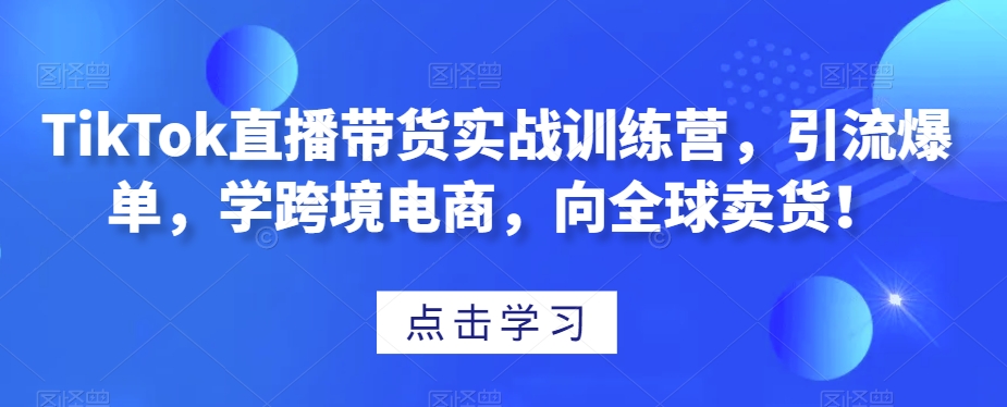 TikTok直播带货实战训练营，引流爆单，学跨境电商，向全球卖货！-第一资源网