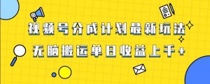 视频号最新爆火赛道玩法,只需无脑搬运,轻松过原创,单日收益上千【揭秘】-第一资源网