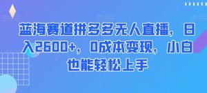 蓝海赛道拼多多无人直播,日入2600+,0成本变现,小白也能轻松上手【揭秘】-第一资源网