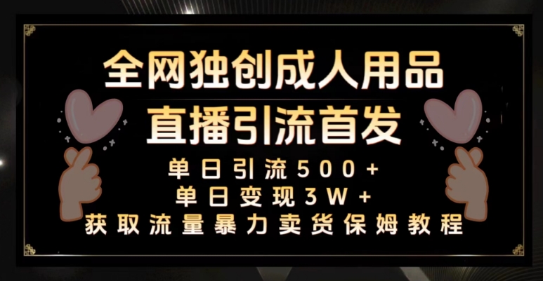 全网独创真人主播+无人直播单日引流500+，橙人用品暴力卖货单日变现3W+保姆似教学2.0【揭秘】-第一资源网