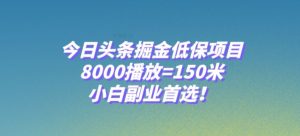 今日头条掘金低保项目，8000播放=150米，小白副业首选【揭秘】-第一资源网
