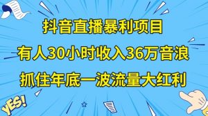 抖音直播暴利项目,有人30小时收入36万音浪,公司宣传片年会视频制作,抓住年底一波流量大红利【揭秘】-第一资源网