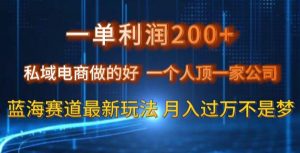 一单利润200私域电商做的好,一个人顶一家公司蓝海赛道最新玩法【揭秘】-第一资源网