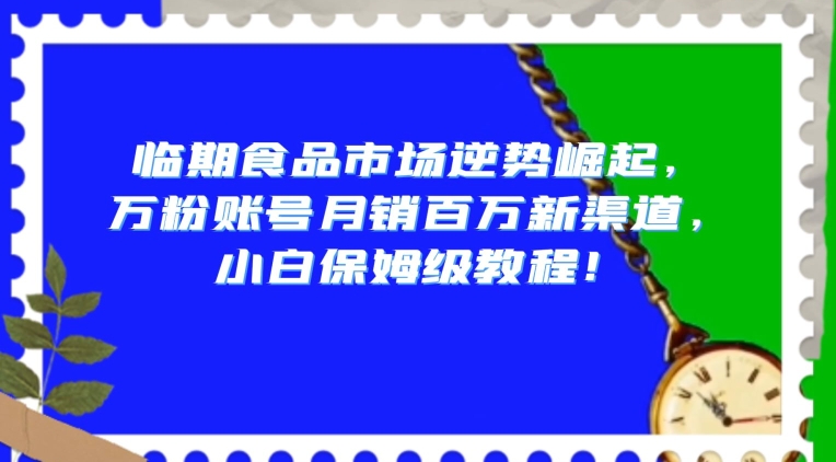 临期食品市场逆势崛起，万粉账号月销百万新渠道，小白保姆级教程【揭秘】-第一资源网