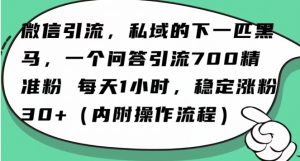 怎么搞精准创业粉?微信新赛道,每天一小时,利用Ai一个问答日引100精准粉-第一资源网