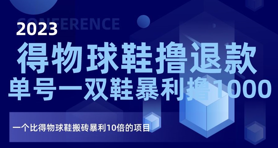 2023得物球鞋撸退款，单号一双鞋暴利撸1000，一个比得物球鞋搬砖暴利10倍的项目【揭秘】-第一资源网