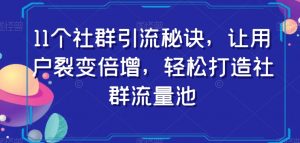11个社群引流秘诀，让用户裂变倍增，轻松打造社群流量池-第一资源网
