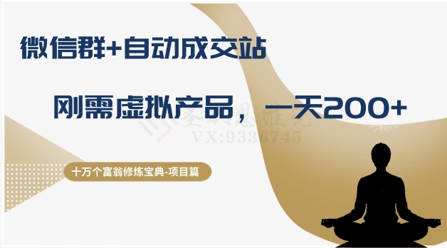 十万个富翁修炼宝典之8.微信群+自动成交站，刚需虚拟产品，一天200+-第一资源网