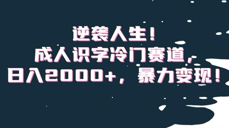 逆袭人生！成人识字冷门赛道，日入2000+，暴力变现！【揭秘】-第一资源网