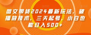 图文带货2024最新玩法,破播放技术,三天起号,小白也能日入500+【揭秘】-第一资源网