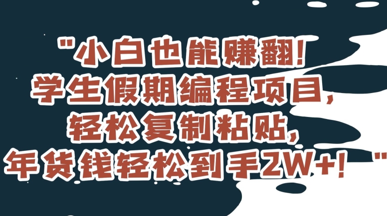 小白也能赚翻！学生假期编程项目，轻松复制粘贴，年货钱轻松到手2W+【揭秘】-第一资源网