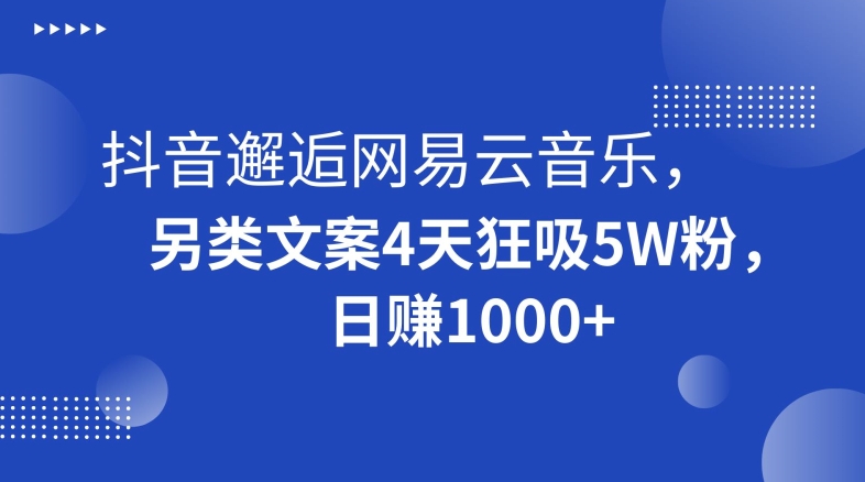 抖音邂逅网易云音乐，另类文案4天狂吸5W粉，日赚1000+【揭秘】-第一资源网