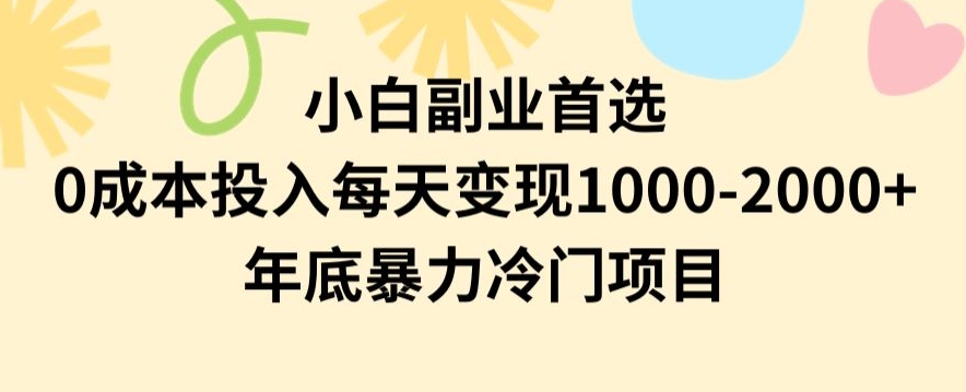 小白副业首选，0成本投入，每天变现1000-2000年底暴力冷门项目【揭秘】-第一资源网