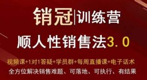 爆款!销冠训练营3.0之顺人性销售法,全方位解决销售难题、可落地、可执行、有结果-第一资源网