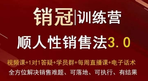 爆款！销冠训练营3.0之顺人性销售法，全方位解决销售难题、可落地、可执行、有结果-第一资源网