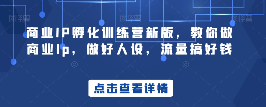 商业IP孵化训练营新版，教你做商业Ip，做好人设，流量搞好钱-第一资源网