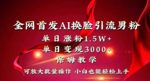 全网首发Ai换脸引流男粉,单日涨粉1.5w+,单日变现3000+,小白也能轻松上手拿结果【揭秘】-第一资源网