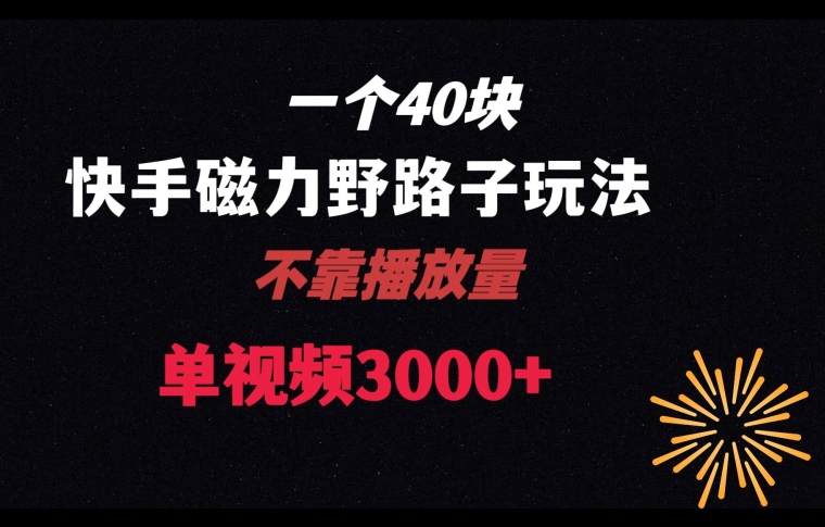 一个40块，快手联合美团磁力新玩法，无视机制野路子玩法，单视频收益4位数【揭秘】-第一资源网