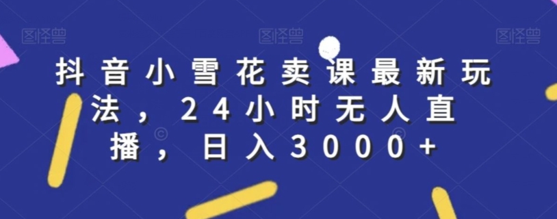 抖音小雪花卖课最新玩法，24小时无人直播，日入3000+【揭秘】-第一资源网