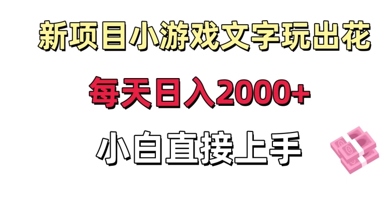 新项目小游戏文字玩出花日入2000+，每天只需一小时，小白直接上手【揭秘】-第一资源网