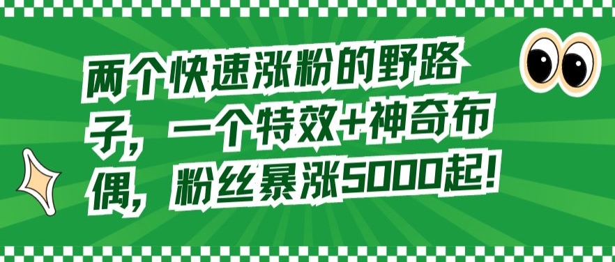两个快速涨粉的野路子，一个特效+神奇布偶，粉丝暴涨5000起【揭秘】-第一资源网
