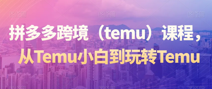 拼多多跨境（temu）课程，从Temu小白到玩转Temu-第一资源网