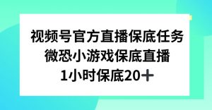 视频号直播任务,微恐小游戏,1小时20+【揭秘】-第一资源网