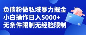 负债粉私域暴力掘金，小白操作入5000，无经验限制，无条件限制【揭秘】-第一资源网