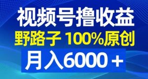 视频号野路子撸收益,100%原创,条条爆款,月入6000+【揭秘】-第一资源网