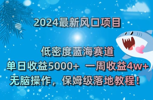 2024最新风口项目，低密度蓝海赛道，单日收益5000+，一周收益4w+！【揭秘】-第一资源网