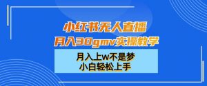 小红书无人直播月入30gmv实操教学,月入上w不是梦,小白轻松上手【揭秘】-第一资源网