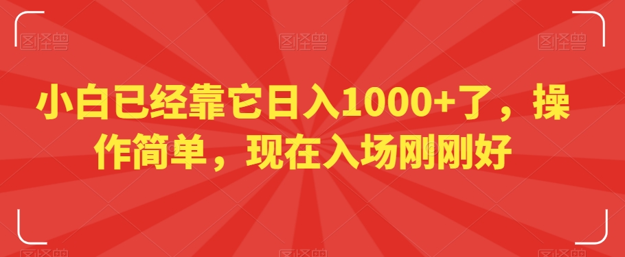 小白已经靠它日入1000+了，操作简单，现在入场刚刚好【揭秘】-第一资源网