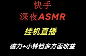 快手深夜ASMR挂机直播,磁力+小铃铛收益(附带工具和5G素材)【揭秘】-第一资源网
