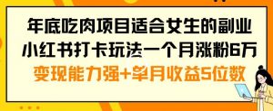 年底吃肉项目适合女生的副业小红书打卡玩法一个月涨粉6万+变现能力强+单月收益5位数【揭秘】-第一资源网