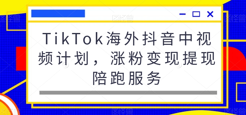 TikTok海外抖音中视频计划，涨粉变现提现陪跑服务-第一资源网