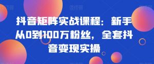 抖音矩阵实战课程:新手从0到100万粉丝,全套抖音变现实操-第一资源网