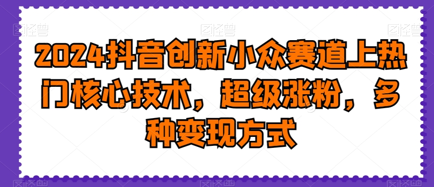 2024抖音创新小众赛道上热门核心技术，超级涨粉，多种变现方式【揭秘】-第一资源网