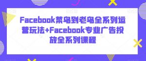 Facebook菜鸟到老鸟全系列运营玩法+Facebook专业广告投放全系列课程-第一资源网