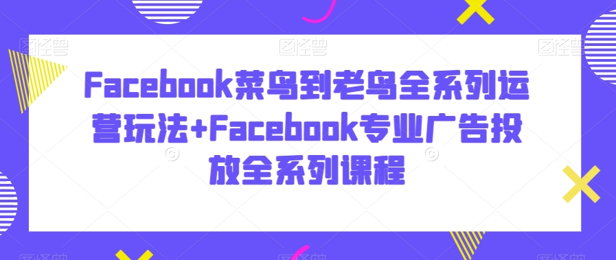 Facebook菜鸟到老鸟全系列运营玩法+Facebook专业广告投放全系列课程-第一资源网