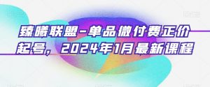 臻曦联盟-单品微付费正价起号,2024年1月最新课程-第一资源网