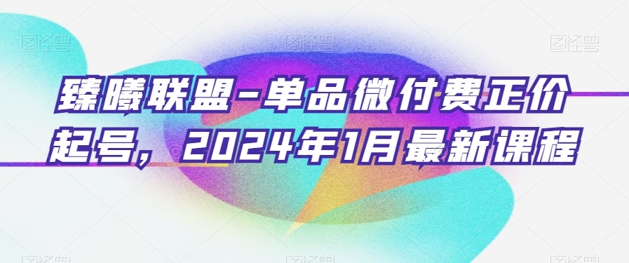 臻曦联盟-单品微付费正价起号，2024年1月最新课程-第一资源网