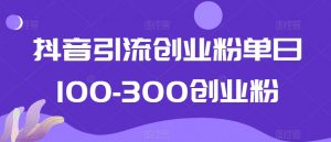 抖音引流创业粉单日100-300创业粉【揭秘】-第一资源网