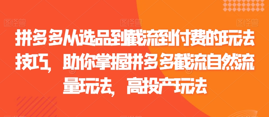 拼多多从选品到截流到付费的玩法技巧，助你掌握拼多多截流自然流量玩法，高投产玩法-第一资源网
