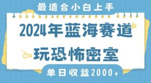 2024年蓝海赛道玩恐怖密室日入2000+,无需露脸,不要担心不会玩游戏,小白直接上手,保姆式教学【揭秘】-第一资源网