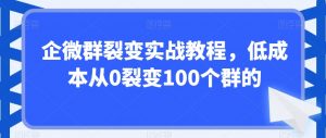 企微群裂变实战教程,低成本从0裂变100个群的-第一资源网