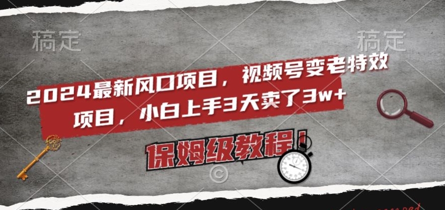 2024最新风口项目，视频号变老特效项目，电脑小白上手3天卖了3w+，保姆级教程【揭秘】-第一资源网