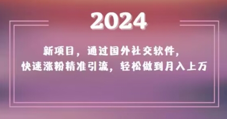 2024新项目，通过国外社交软件，快速涨粉精准引流，轻松做到月入上万【揭秘】-第一资源网