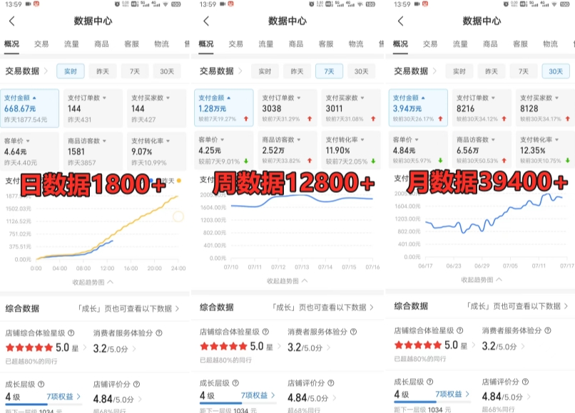 拼多多虚拟电商训练营月入30000+你也行，暴利稳定长久，副业首选-第一资源网