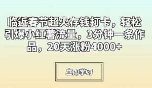 临近春节超火存钱打卡,轻松引爆小红薯流量,3分钟一条作品,20天涨粉4000+【揭秘】-第一资源网